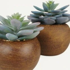 Succulente Artificielle Pot Bois 15cm Lot De 2 -Feuilora Soldes Boutique 04d416dc541c8564