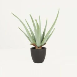 Aloe Vera Artificiel 35cm