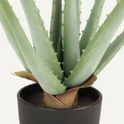 Aloe Vera Artificiel 35cm -Feuilora Soldes Boutique 3a5e870da98183ae