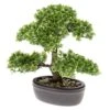 Emerald Mini Bonsaï Ficus Artificiel Vert 32 Cm 420002 -Feuilora Soldes Boutique 40f186998a9da7d1