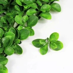 Mur Végétal Artificiel Giron Fleur - 1m X 1m 9 Mur Végétal Artificiel Giron Fleur - 1m X 1m -Feuilora Soldes Boutique 639b1dee78aee8.77318206