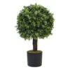 Plante Artificielle - Topiaire Buis 65cm 1 Plante Artificielle - Topiaire Buis 65cm -Feuilora Soldes Boutique 639b1df22901b9.84953577