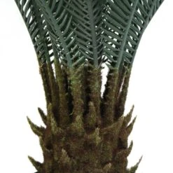 Plante Artificielle - Cycas Du Japon 80cm 9 Plante Artificielle - Cycas Du Japon 80cm -Feuilora Soldes Boutique 639b1df449a0b6.23211245