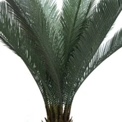 Plante Artificielle - Cycas Du Japon 80cm 8 Plante Artificielle - Cycas Du Japon 80cm -Feuilora Soldes Boutique 639b1df44cfa15.23999553