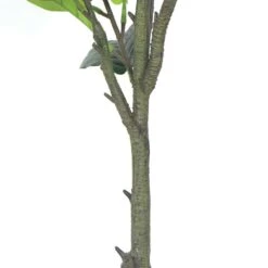 Plante Artificielle - Figuier 135cm -Feuilora Soldes Boutique 63cbb442b97305.38121552