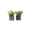 Plante Succulente Artificielle En Pot émaillé (lot De 2) -Feuilora Soldes Boutique 63dd4fab74b249.00690017