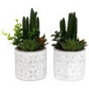Plante Succulente Artificielle Pot En Ciment (lot De 2) -Feuilora Soldes Boutique 63dd4fb24ade63.19650527