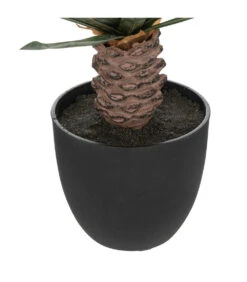 ATMOSPHERA Plante Artificielle Palmier En Pot H 52 Cm 7 ATMOSPHERA Plante Artificielle Palmier En Pot H 52 Cm -Feuilora Soldes Boutique 63eb35d3655c21.88613580