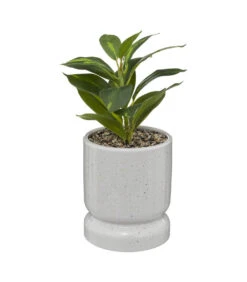 ATMOSPHERA Plante Verte Artificielle Pot En Céramique H 30 Cm