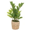 ATMOSPHERA Plante Artificielle Zamio En Pot H 41 Cm -Feuilora Soldes Boutique 63eb35dbe68738.08171512