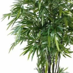 Bambou Artificiel à Cannes Noires Effet Zen H 270 Cm - Choisissez Votre Hauteur: -Feuilora Soldes Boutique 63f6080a4cc649.27920023