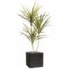 Dracaena Artificiel 3 Troncs En Pot H 140 Cm Vert-rose - Choisissez Votre Hauteu -Feuilora Soldes Boutique 63f608131bfad5.88662788