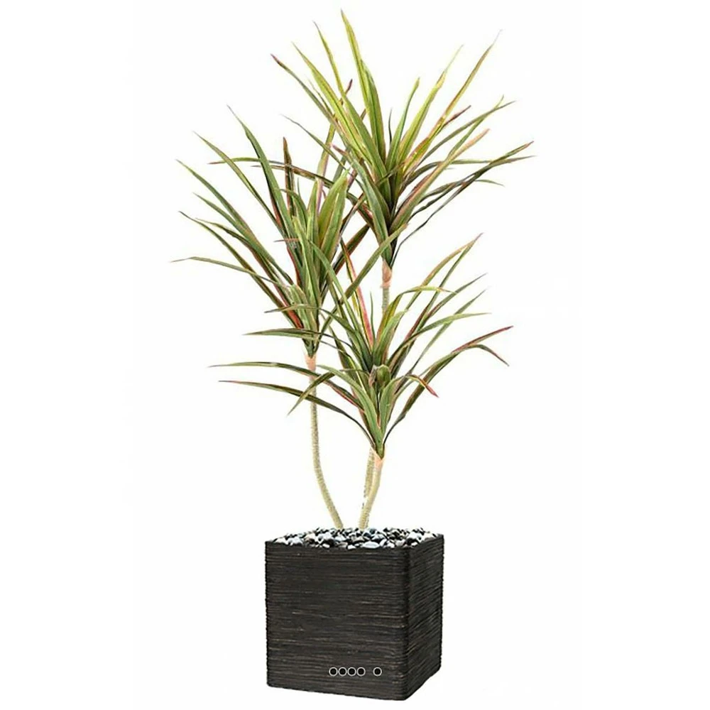 Dracaena Artificiel 3 Troncs En Pot H 140 Cm Vert-rose - Choisissez Votre Hauteu 4 Dracaena Artificiel 3 Troncs En Pot H 140 Cm Vert-rose - Choisissez Votre Hauteu – Image 2