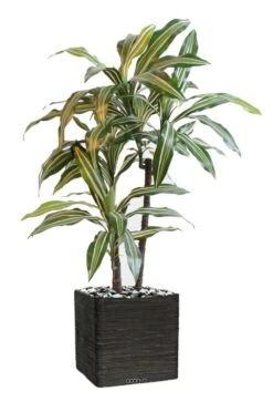 Dracaena Artificiel 3 Têtes H 90 Cm En Pot Vert-jaune -Feuilora Soldes Boutique 63f6082779db42.86989259
