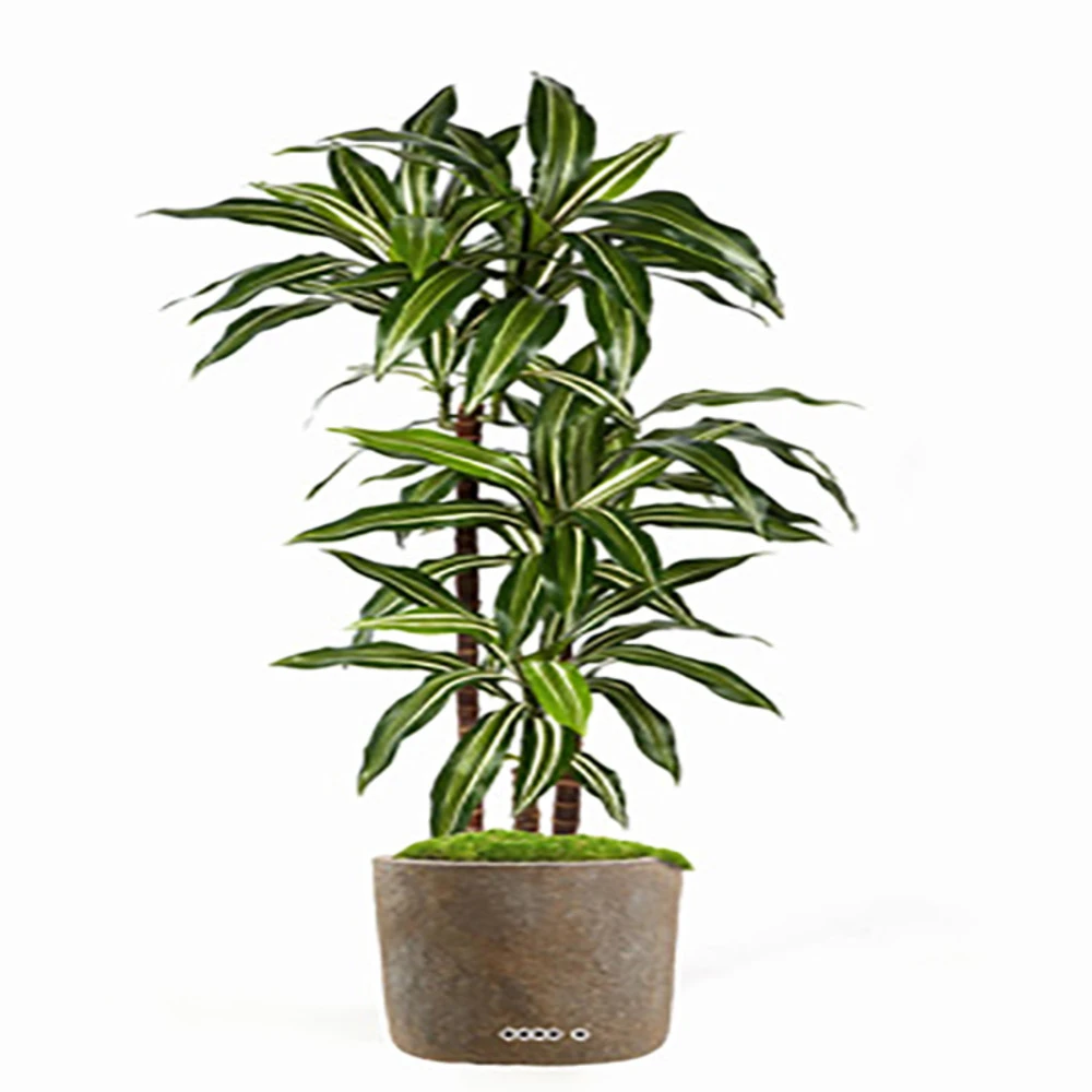 Dracaena Artificiel Fragrans 3 Troncs En Pot H 120 Cm Blanc-vert D 60cm - Choisi 3 Dracaena Artificiel Fragrans 3 Troncs En Pot H 120 Cm Blanc-vert D 60cm - Choisi