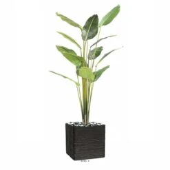 Palmier Arbre Du Voyageur Artificiel H 220 Cm En Pot 14 Feuilles -Feuilora Soldes Boutique 63fa513f582de7.95859093