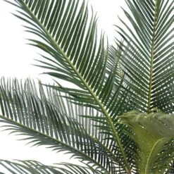 Palmier Cycas Artificiel En Pot H 50 Cm Vert - Choisissez Votre Hauteur: H 50 Cm -Feuilora Soldes Boutique 63fa5142a15859.96036681
