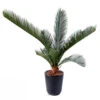 Palmier Cycas Artificiel En Pot H 50 Cm Vert - Choisissez Votre Hauteur: H 50 Cm -Feuilora Soldes Boutique 63fa5142a59318.35638466