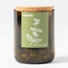 Kit Bouteille Prêt à Pousser Menthe -Feuilora Soldes Boutique 6420e04a9ed5f1.75383752