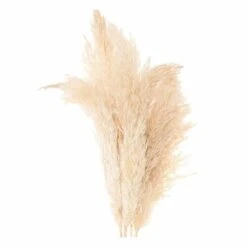 6 Herbes De Palma Séchées Naturelles -Feuilora Soldes Boutique 64258467cf48a9.13929074