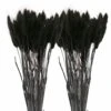 12 Tiges De Lagurus Séchés Noirs - 45 Cm 2 12 Tiges De Lagurus Séchés Noirs - 45 Cm -Feuilora Soldes Boutique 64258471449766.84893282