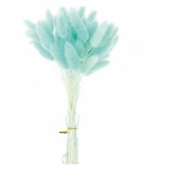 Lagurus Séchés Turquoise - 45 Cm -Feuilora Soldes Boutique 64258471aa7a19.88492260