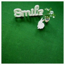 Gazon Synthétique Garden Balcon - Classé Feu - 7mm - 2m X 3m 9 Gazon Synthétique Garden Balcon - Classé Feu - 7mm - 2m X 3m -Feuilora Soldes Boutique 645ce1d276f725.36415944