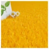Gazon Synthétique Peps - Couleur Jaune Orangé - 20mm - 2m X 4m -Feuilora Soldes Boutique 64627713daa6b3.04824802