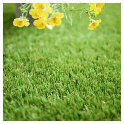 Gazon Synthétique New Eden - 35mm - 2m X 25ml -Feuilora Soldes Boutique 6476ea69ebce16.11306889