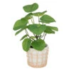 ATMOSPHERA Plante Artificielle Dans Pot En Céramique Et Rotin H 34 Cm -Feuilora Soldes Boutique 64821b77eda266.77889794