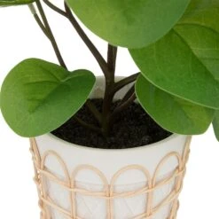 ATMOSPHERA Plante Artificielle Dans Pot En Céramique Et Rotin H 34 Cm -Feuilora Soldes Boutique 64821b77f1afd7.11595530