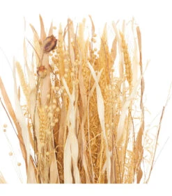 ATMOSPHERA Fagot De Fleurs Et Tiges Séchées D. 25 X H. 115 Cm -Feuilora Soldes Boutique 64821bbdf34e96.52846136