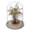 Fleurs Séchées Sous Cloche "folk" H26 Cm -Feuilora Soldes Boutique 6483186be130e5.92092408