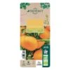 Mandarinier : C3L, Agriculture Biologique 2 Mandarinier : C3L, Agriculture Biologique -Feuilora Soldes Boutique 697332 012