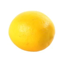 Citronnier X Meyer : AB C3L -Feuilora Soldes Boutique 697337 007