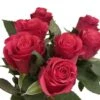 Botte De 7 Roses Rhodos Rouges 1 Botte De 7 Roses Rhodos Rouges -Feuilora Soldes Boutique 748900 006