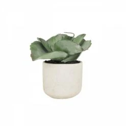 Succulente Artificielle Pot Effet Ciment 17cm -Feuilora Soldes Boutique 7a78da09e34b3336
