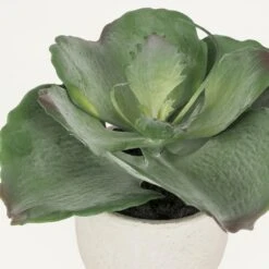 Succulente Artificielle Pot Effet Ciment 17cm -Feuilora Soldes Boutique 7c639e557cc4fdd4