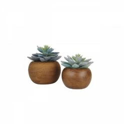 Succulente Artificielle Pot Bois 15cm Lot De 2 -Feuilora Soldes Boutique 82538564fc8c5857