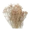 Fleurs Séchées Gypsophile Blanc -Feuilora Soldes Boutique 876324 001