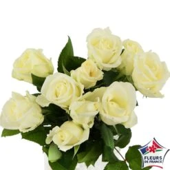 Botte 10 Roses ''Fleurs De France'' H.50cm Coloris Variables -Feuilora Soldes Boutique 907464 001