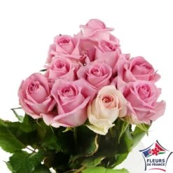 Botte 10 Roses ''Fleurs De France'' H.50cm Coloris Variables -Feuilora Soldes Boutique 907464 003