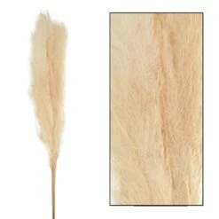 Bouquet Séché Pampas Mace 115-117cm 3pcs -Feuilora Soldes Boutique 933178 003