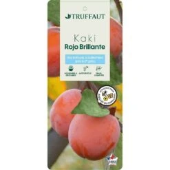 Kaki 'Rouge Brillant 1/2T Pot 15L -Feuilora Soldes Boutique 952752 002