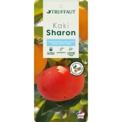 Kaki "Sharon" 1/2T Pot 15L -Feuilora Soldes Boutique 952753 003