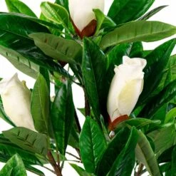 Magnolia Artificiel 90 Cm 9 Magnolia Artificiel 90 Cm -Feuilora Soldes Boutique aa403eff3f249af0