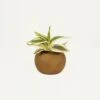Plante Verte Artificielle Pot Effet Bois 14cm -Feuilora Soldes Boutique ab2c2f4e39a7609d