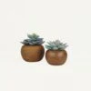 Succulente Artificielle Pot Bois 15cm Lot De 2 -Feuilora Soldes Boutique b02c7544b4197045