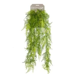 Emerald Asperges Plumosus Artificielle 80 Cm -Feuilora Soldes Boutique b843aca257a14696