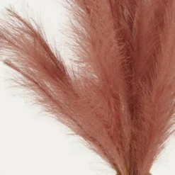 Plumeau Artificiel Terracotta 110cm Lot De 3 -Feuilora Soldes Boutique c4332bdda24780af